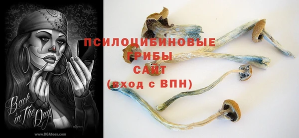 ALPHA-PVP Богородицк