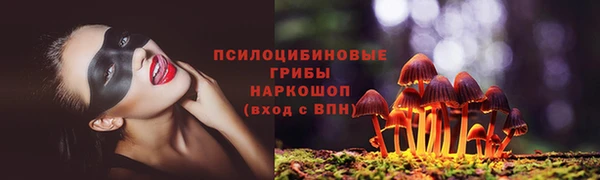 соль ск Богданович